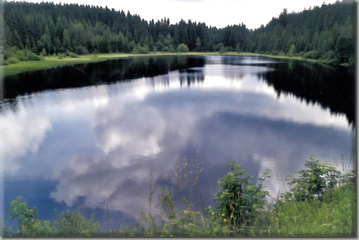 Tannermoor